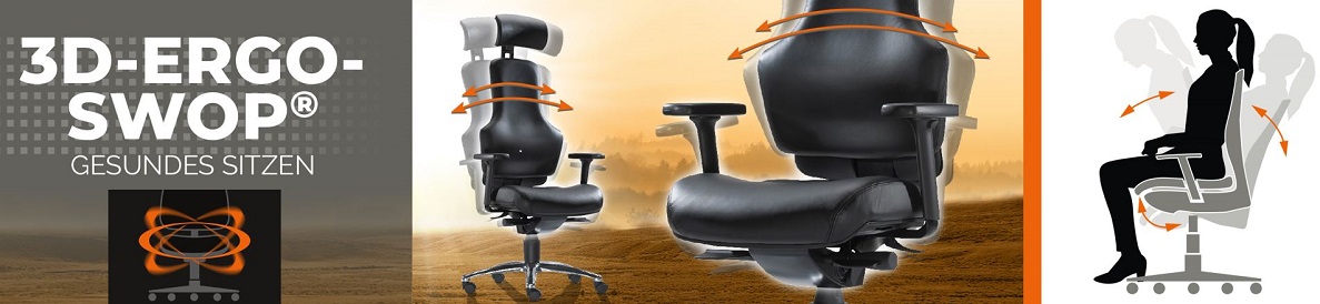 Bürostuhl-Böblingen.de ➜ 3D-ErgoSWOP ➜ Bewegtes Sitzen